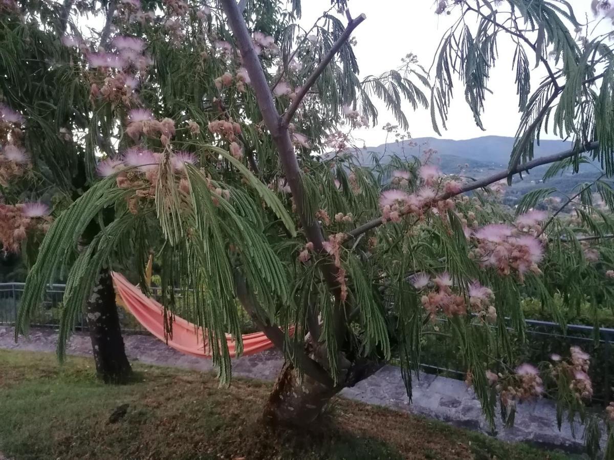 Casina In Pietra Villa Pistoia Kültér fotó